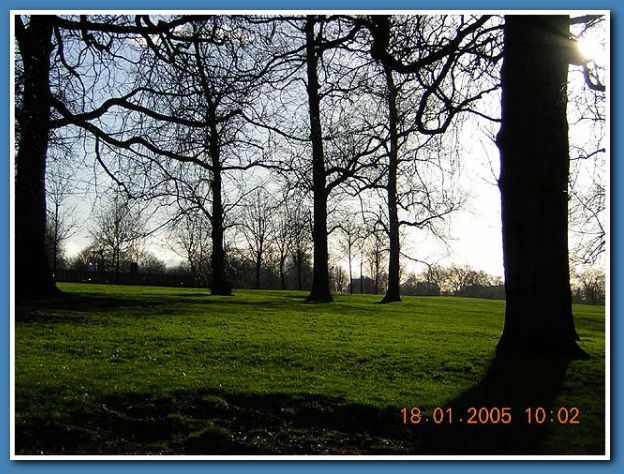 604x453 pixels (90K)
