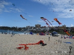 Campeonato de pipas em Bondi Beach (Kite Flyers)