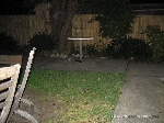 Possum no quintal de casa