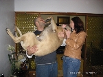 Minha hostmother Sonia e seu namorado Manuel mimando o filhinho de 80 kg Lennox. Ele pensa que é poodle!