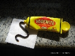 Os australianos adoram comer Vegemite, especialmente no café da manhã.