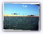 Rio S&atilde;o Francisco - dunas
Maravilha de lugar!